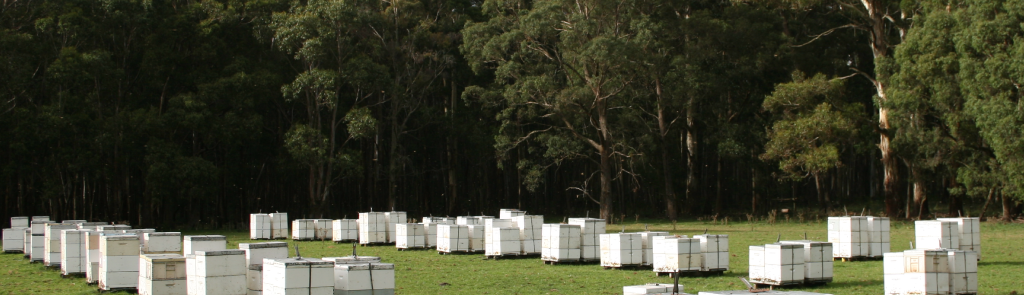 Archibald's Honey beehives image